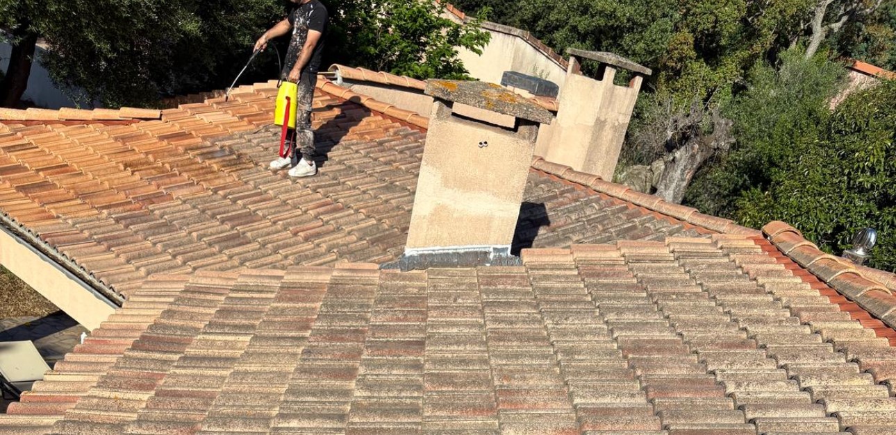 Démoussage de toiture à Porto-Vecchio
